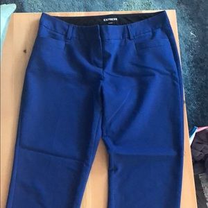 Express royal blue dress pants! Size 8R